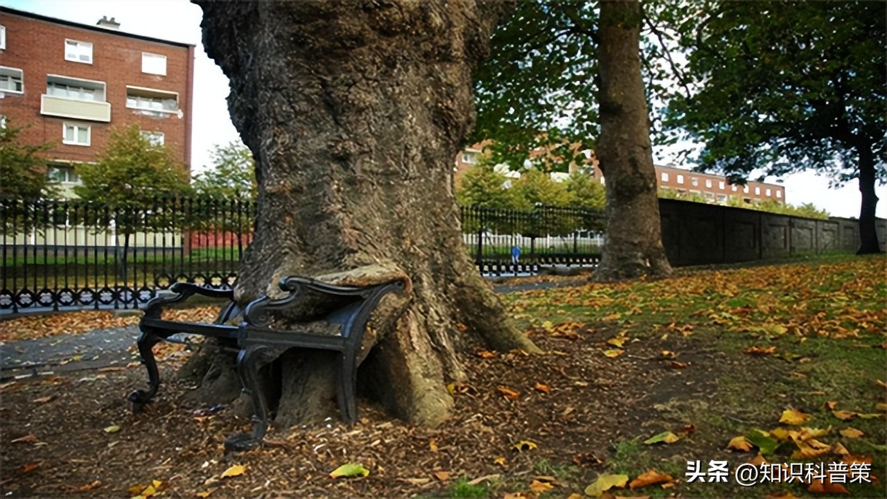 大自然的力量真大,大自然的力量有多大
