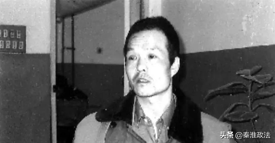 陕西郑卫国涉黑案,长安县郑卫国集团覆灭记小说