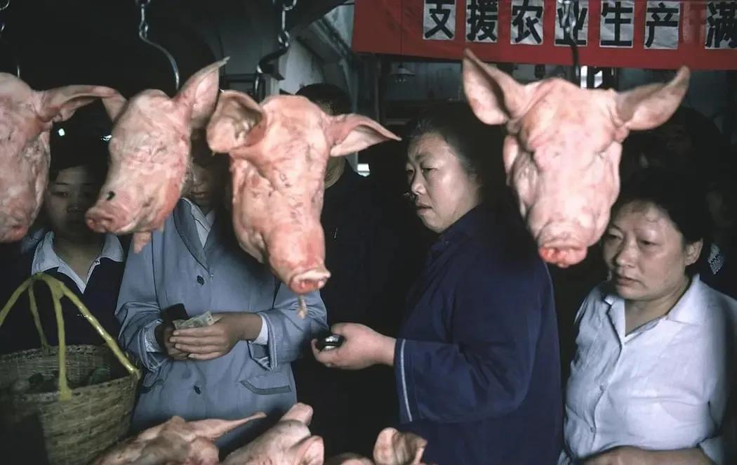 你不知道的历史上最惨烈的战争,你不知道的二战史