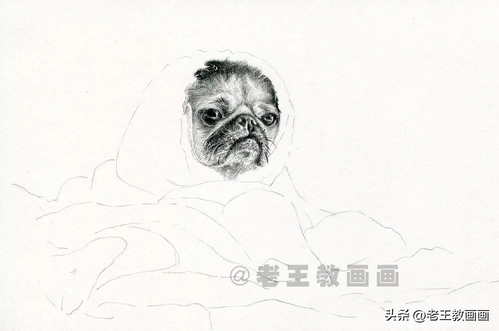 如何画不同的狗狗素描画图片,素描画小狗详细教程画得要逼真