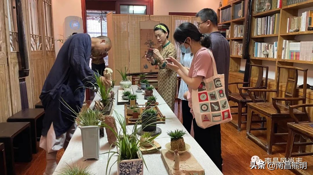 鍏竴鍎跨鑺傚叞鑺辫崏,鍏竴鍎跨鑺傜尓绗艰崏