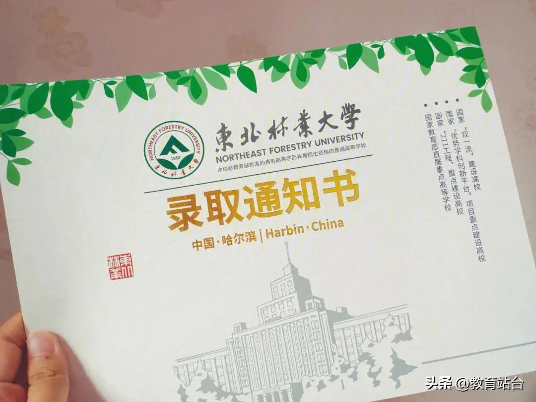 东北林业大学研究生可以跨考吗,东北林业大学机械专硕能跨考吗