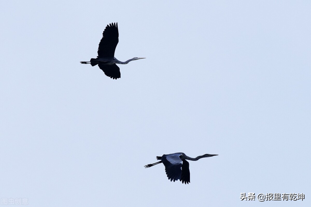 积累收藏：5月份人民日报金词金句合辑（二）（6.4）