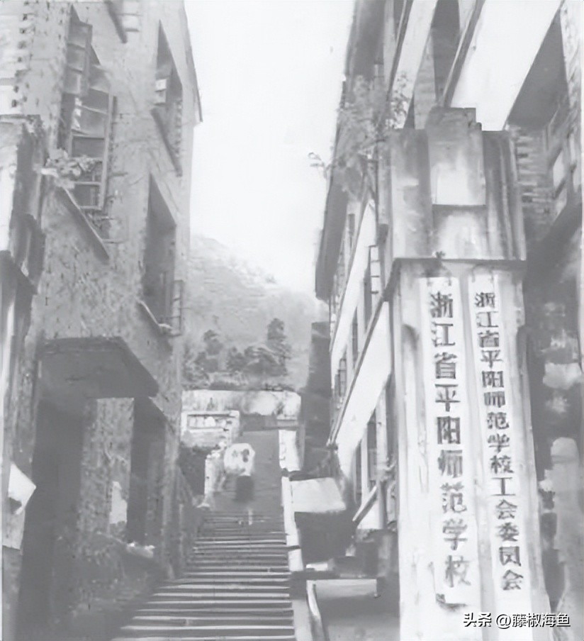 20年前的温州是什么样的,十几年前浙江温州的回忆