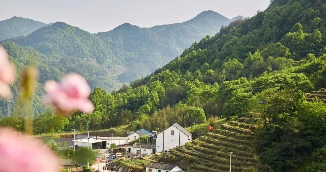 安徽值得一家人旅游的地方,安徽有哪些吸引人的地方