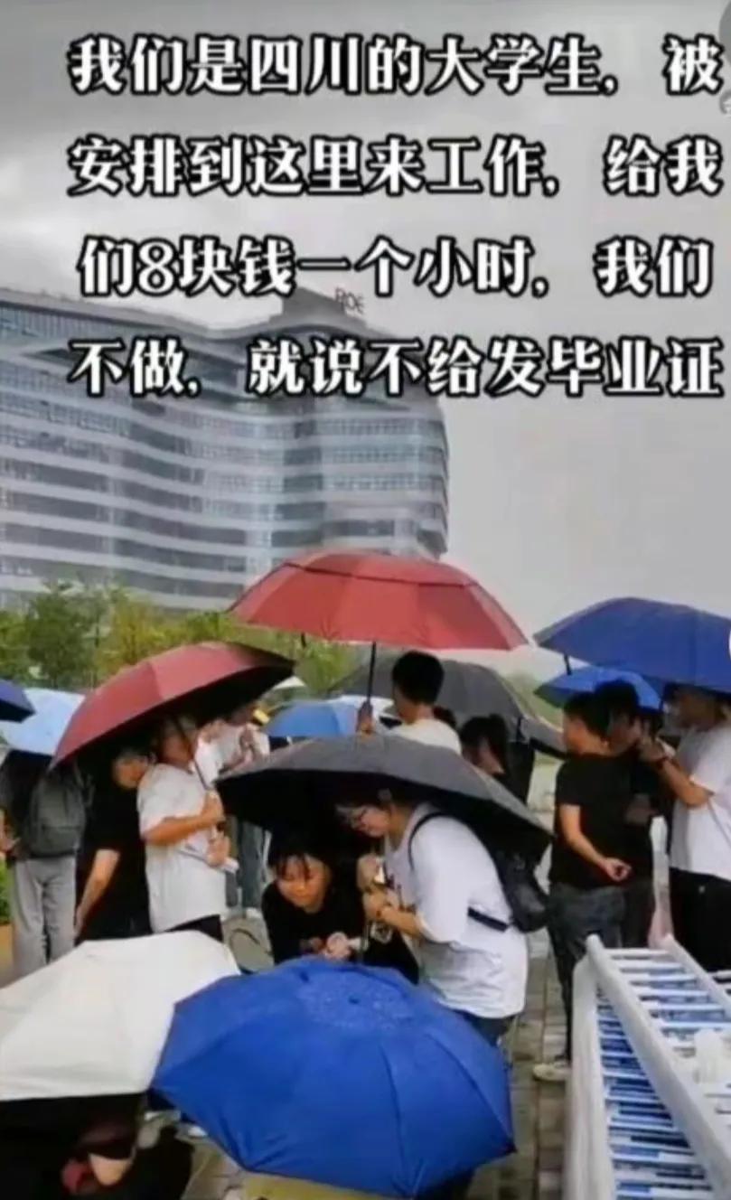 18块钱一小时的暑假工真实吗,本科生廉价劳动力