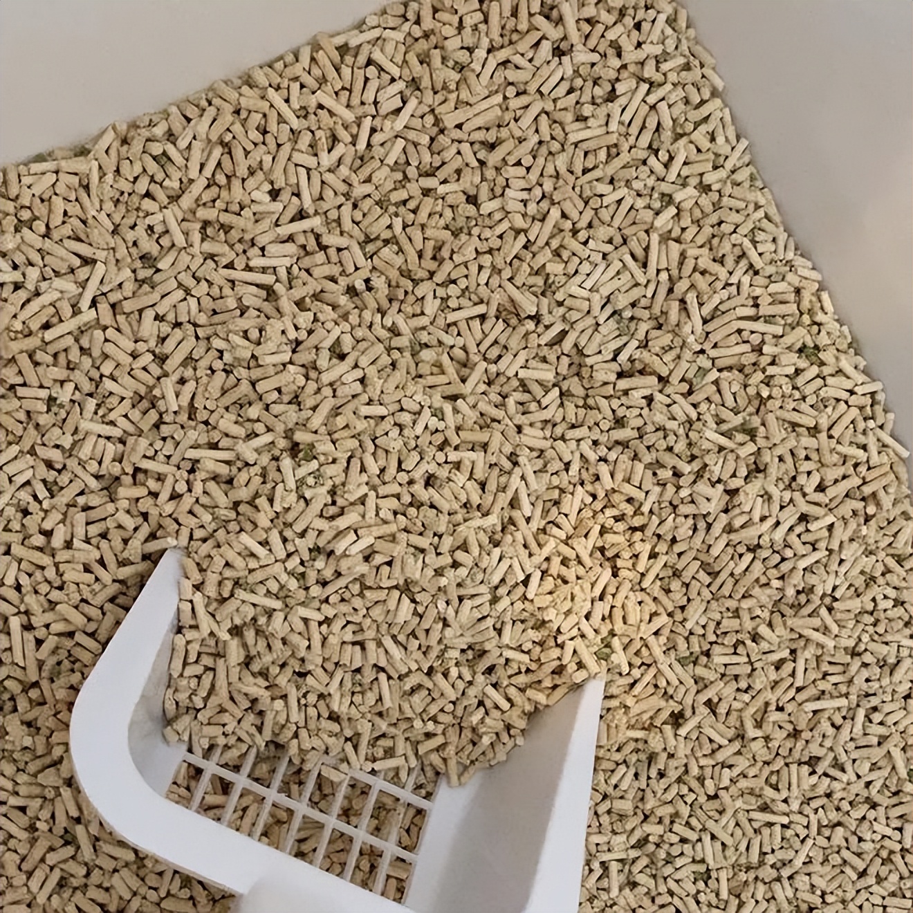 怎么挑选猫砂最好用,猫砂应该怎么选择