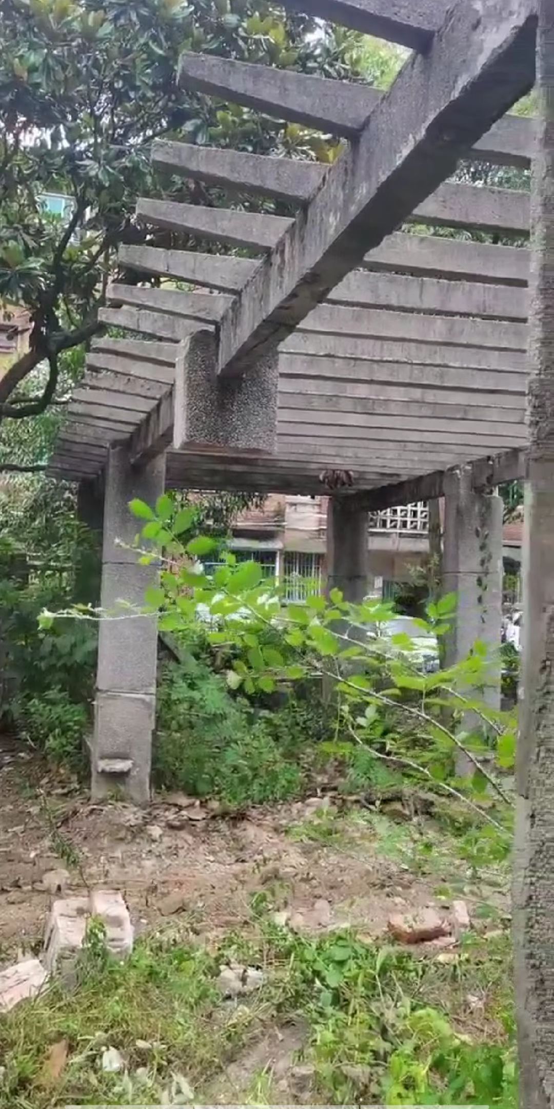 贵阳花溪背街改造效果图,小巷改造小花园