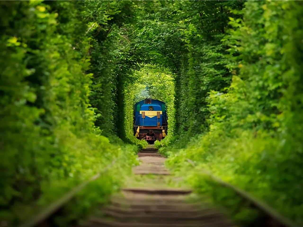 在乌克兰100元能做什么服务？当地姑娘说出实情，男游客忍不住了