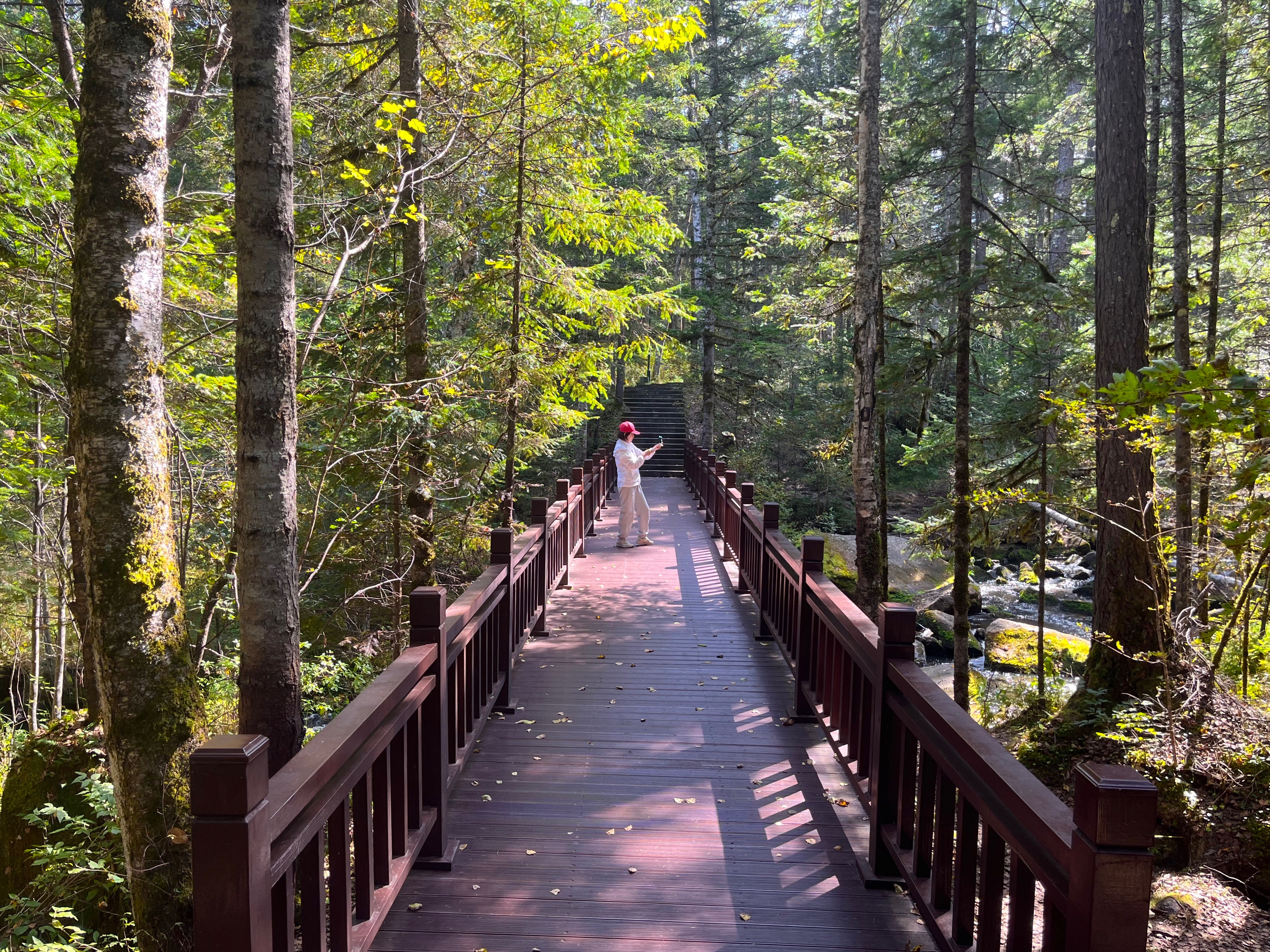 夫妻自驾11000公里,夫妻两人自驾游最新视频