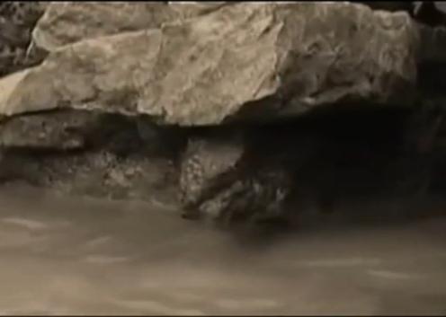 鐧借。濂抽鐏靛紓浜嬩欢澶у叏,婀栧崡鐏靛紓浜嬩欢濂抽