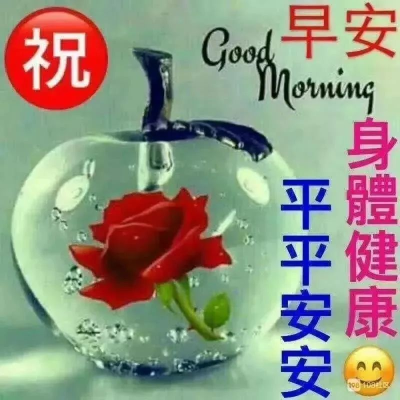 早上好问候语温馨动态图片大全,每日问候早上好表情动态图片带字