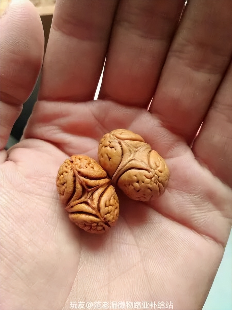 与众不同的双棒文玩，是时尚达人追求的最终目标