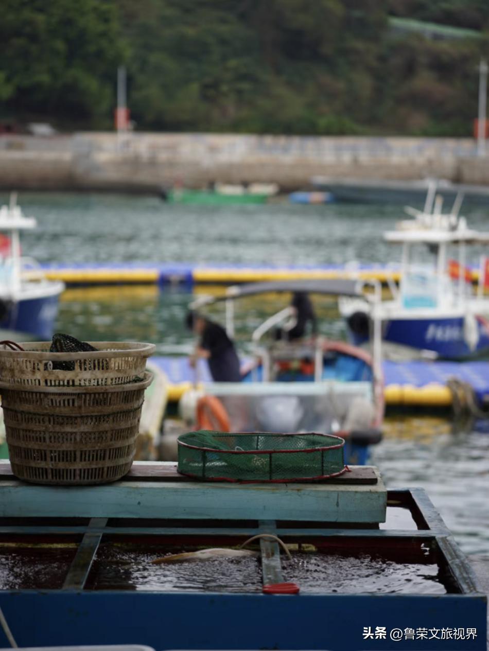 珠海东澳岛绝美小众海岛,东澳岛海岛度假屋
