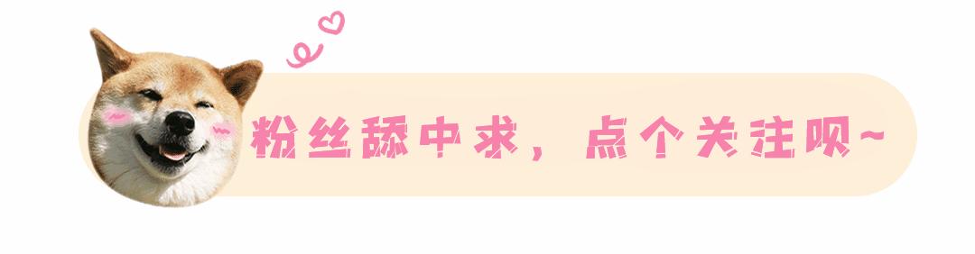 实惠又便宜的豆浆机,为啥豆浆机买来后一般都闲置了