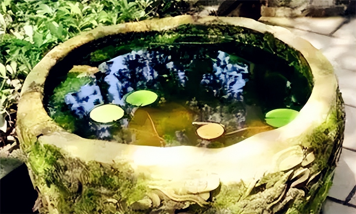 七种东西送了人财两空,为何说东西有七不送送了人财两空