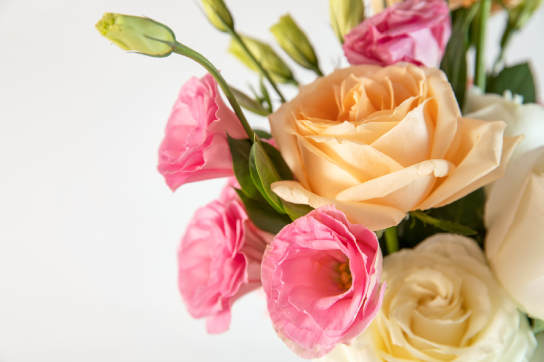 女神节送什么礼物最好看,女神节送什么礼物最实用