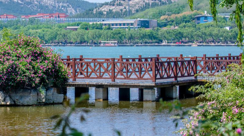 济南旅游公交专线有哪些 (济南近郊公交直达的游玩场所)