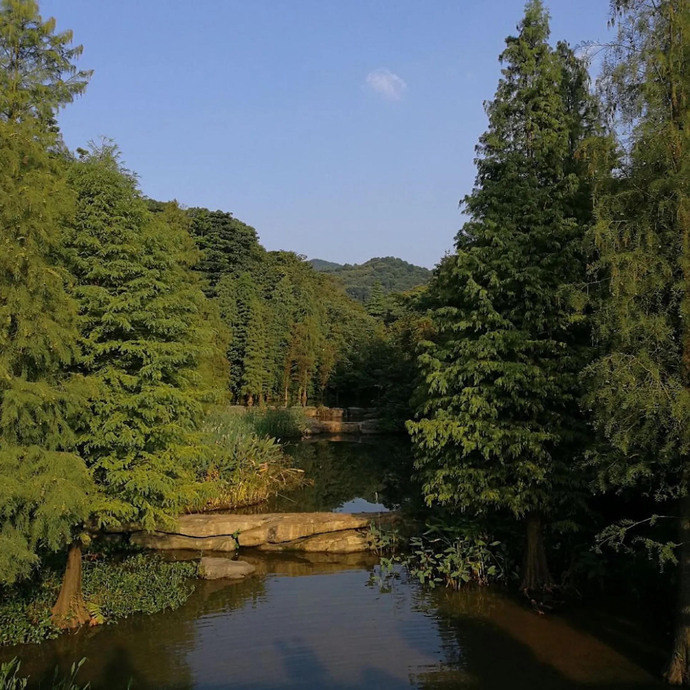 广州市47个免费游玩的地方,广州最适合一日游的57个免费景点