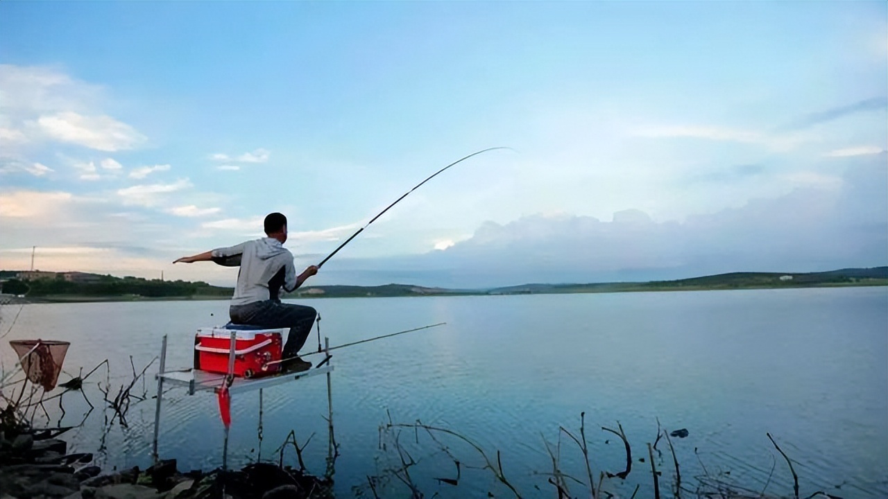 北京的鱼都,北京的鱼