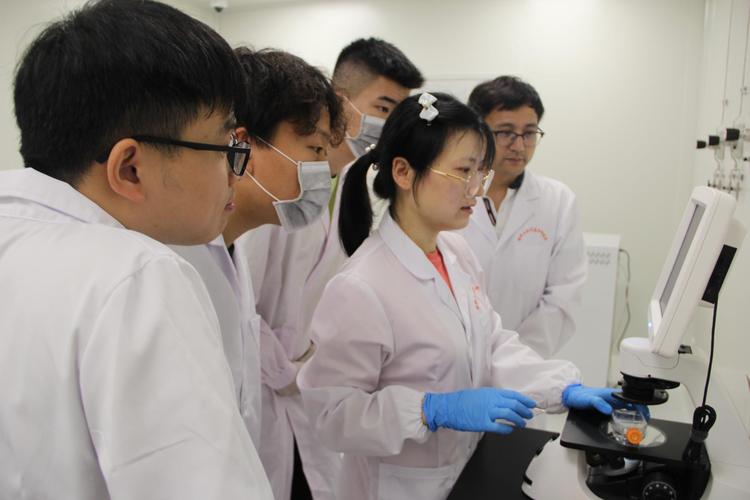 长沙建长江中下游中心城市,长江中游中心城市长沙建在哪里