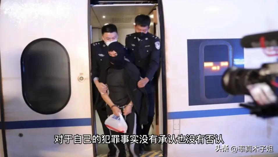 男子旅游时性侵女子被捕证据,男子赴日旅游性侵日本女子被捕