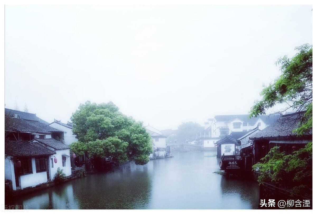 你从江南的烟雨中走进我的诗行,我从江南走过曾经的风景