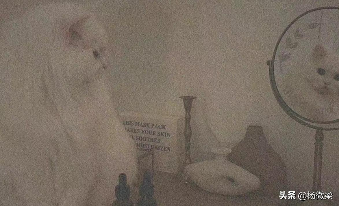 当代女孩子的消费观 (18岁女生应该有怎样的消费观)