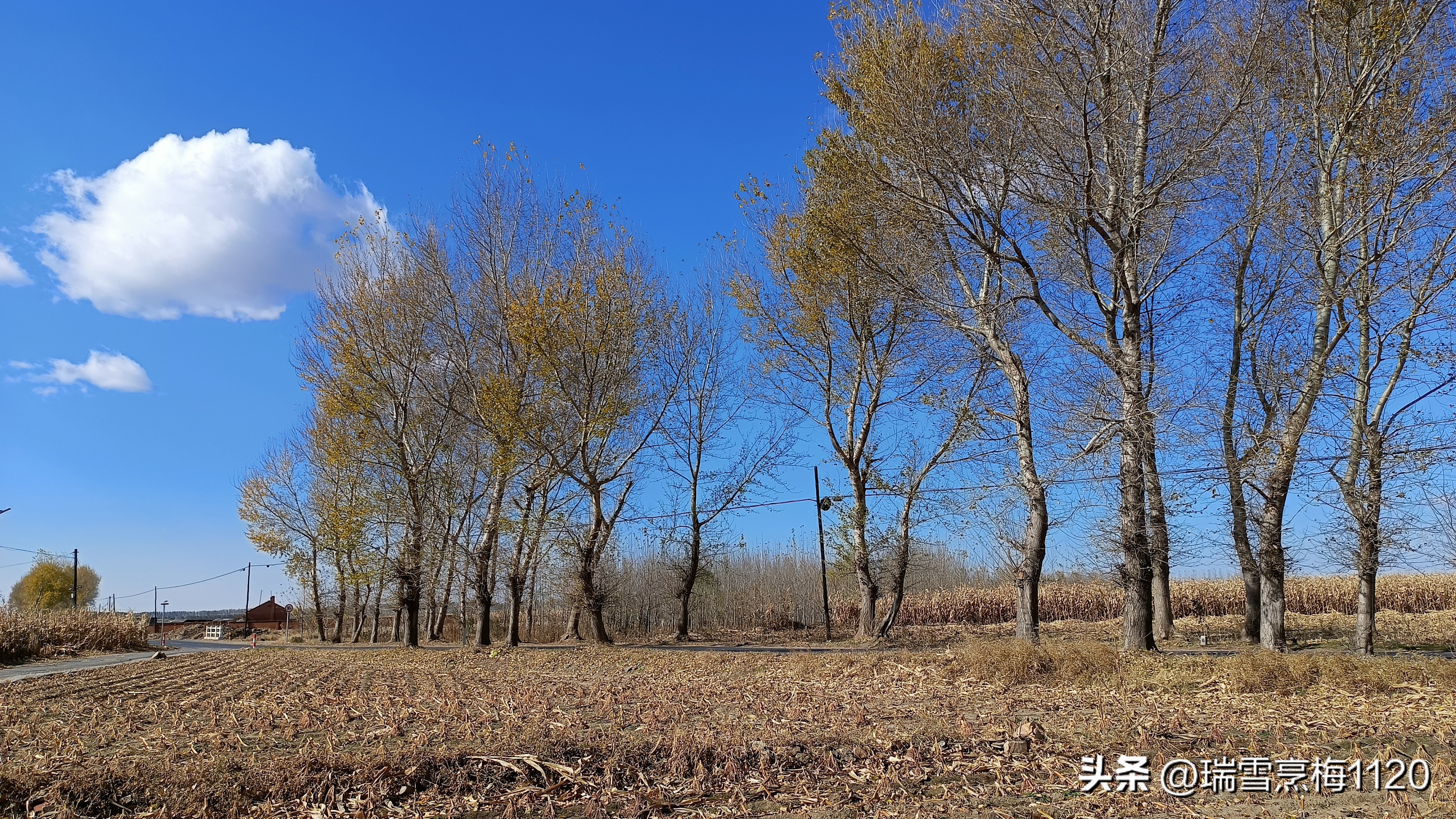 地名档案|旁新线公路沿线村庄之五:马刚街道拥屯村原名雍家屯