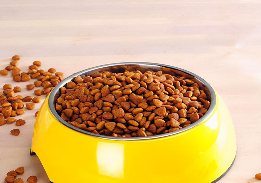 雪纳瑞口臭推荐用什么,雪纳瑞狗狗嘴巴里有异味是怎么了