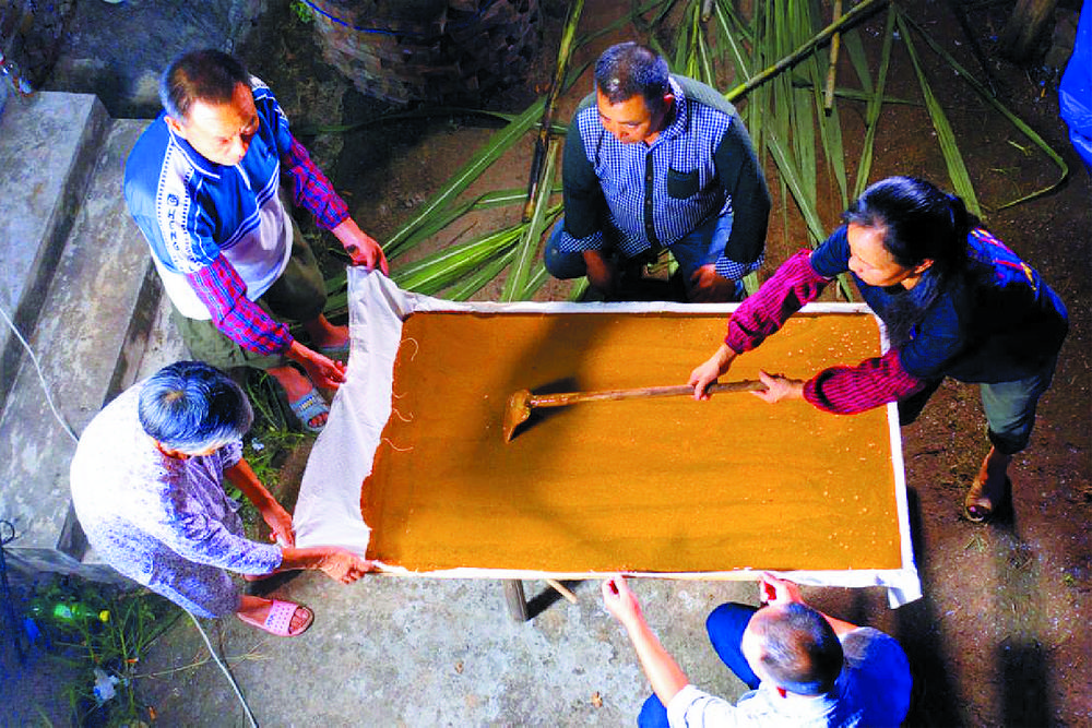 江津石蟆中坝岛一条长江鲟的跌宕人生