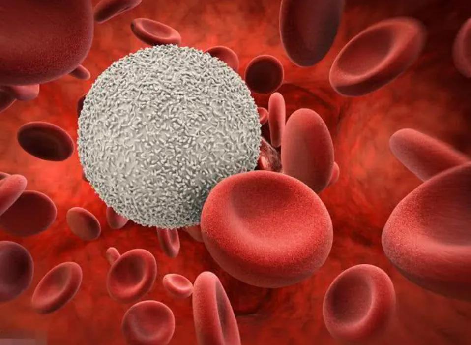 升白细胞最好的中药方剂,进口升白细胞药物