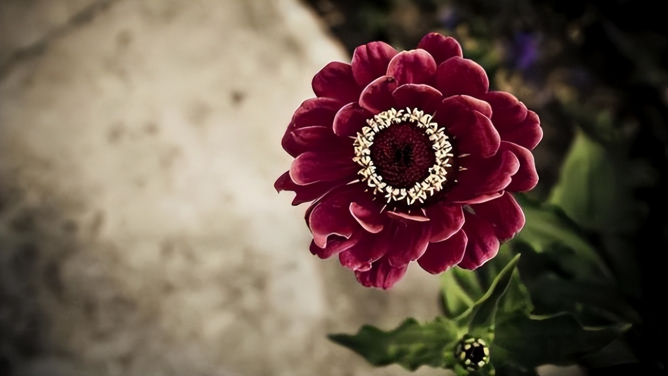 人过50三种礼就不要随了,人过40岁有些礼就不要随了