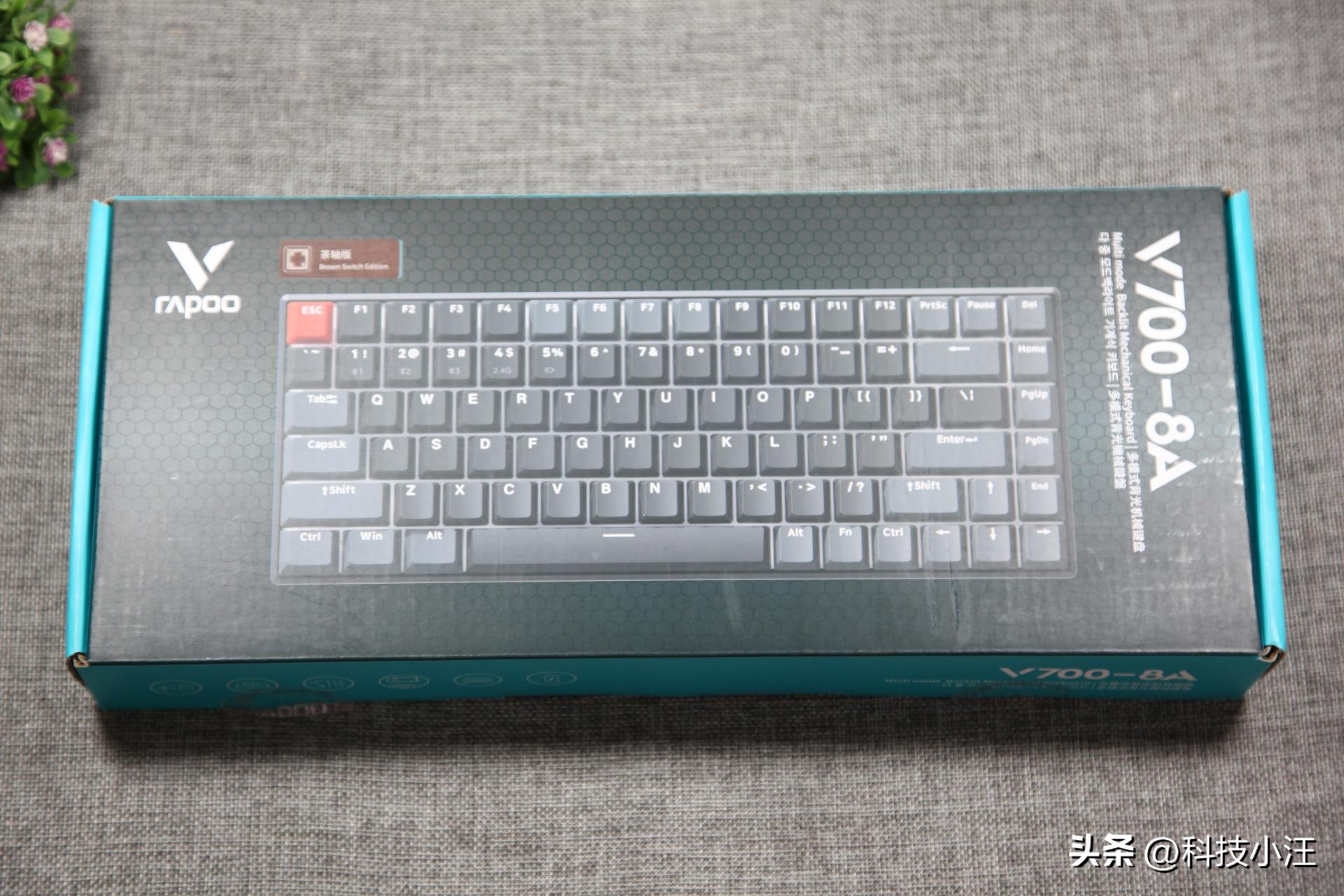 雷柏机械键盘v700键位图,雷柏V700-8A多模机械键盘