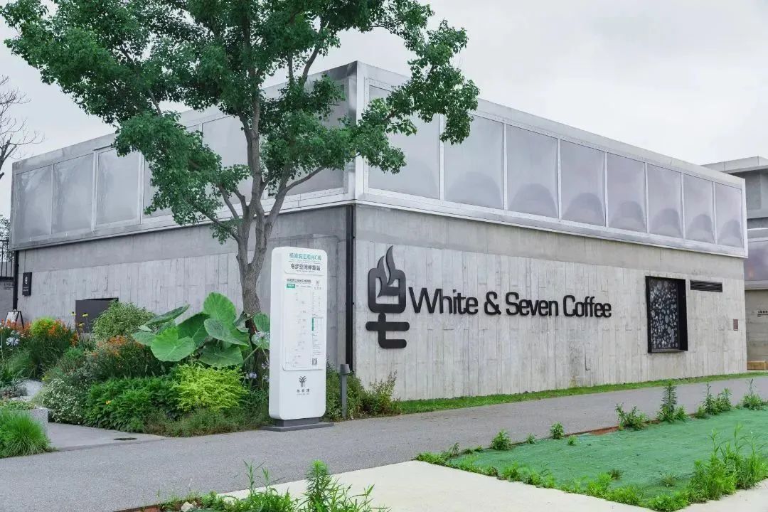 上海周末骑行好去处,上海周边适合春天骑行的地方排名