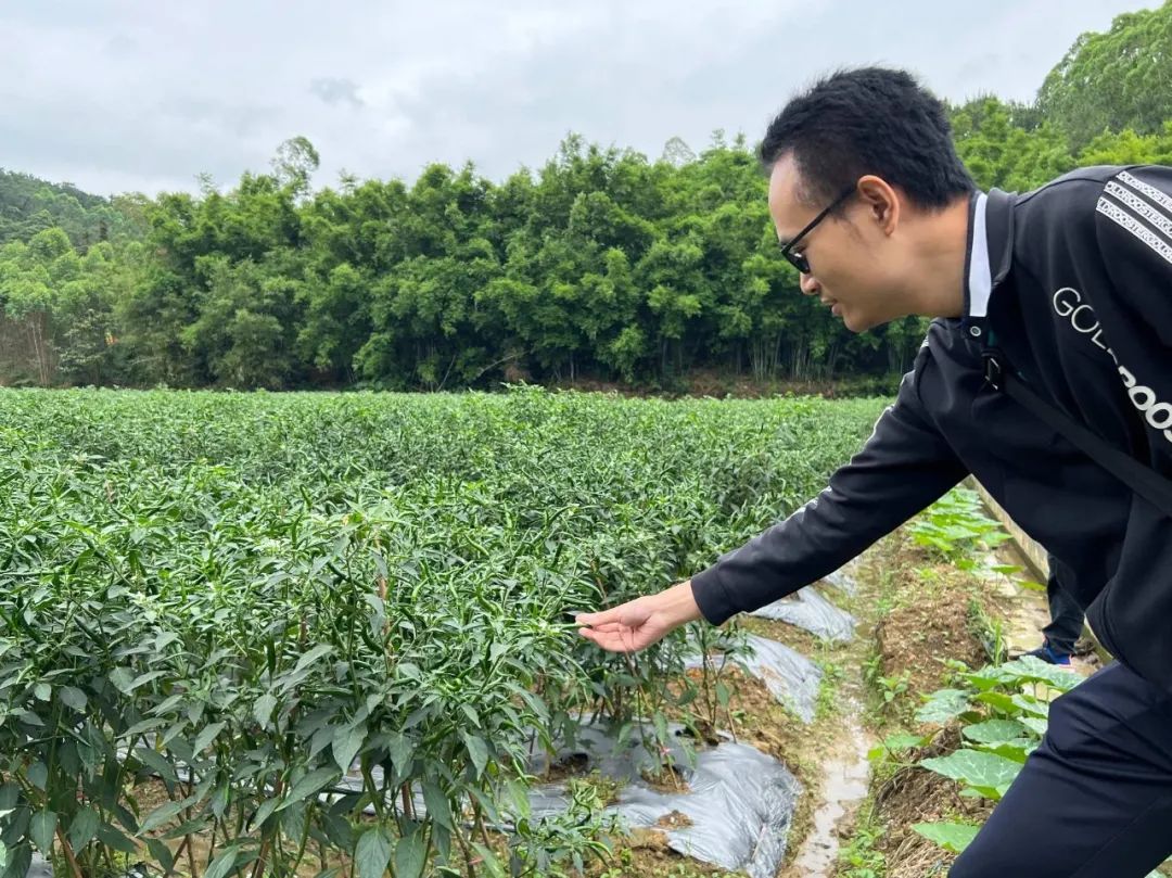 鍔╁姏涔℃潙鎸叴閲囪璁板綍,鍔╁姏涔℃潙鎸叴璁胯皥