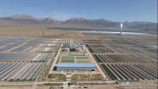 当好推进生态文明建设的实践者,中国诚通愿景