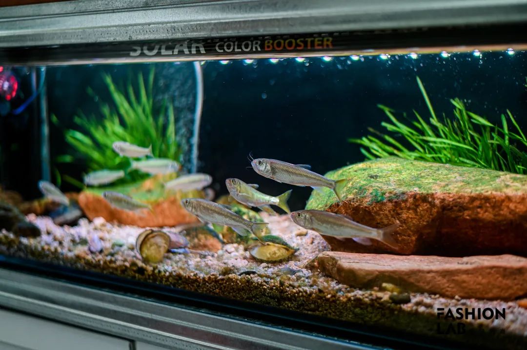 想学钓鱼新手需要买什么,新手学钓鱼最快的方法