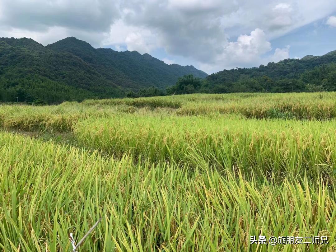 从化吕田一日游必去景点,从化溪头村自驾徒步攻略