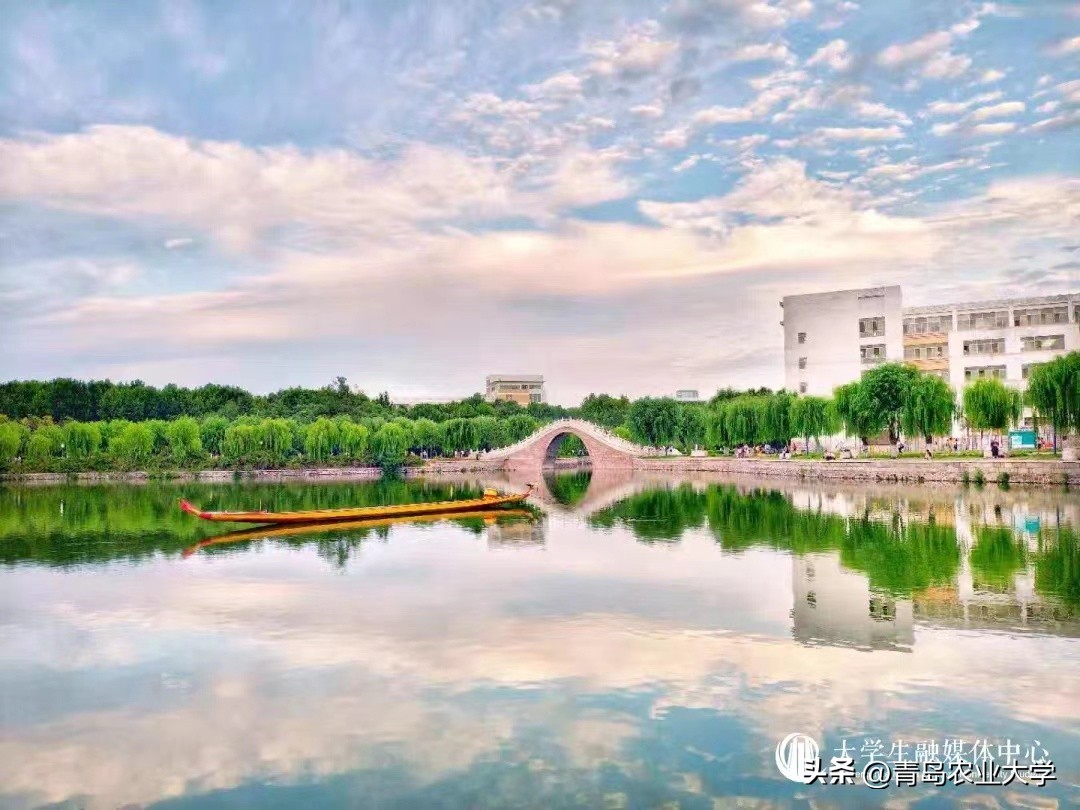 又到毕业季承载着满满的回忆,毕业季带着你们开启新的旅途