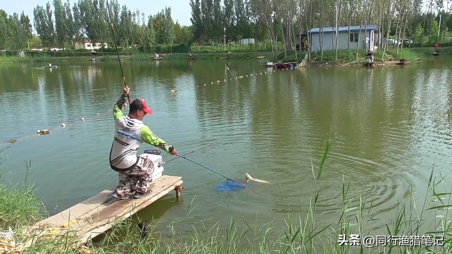 野钓3-5斤鲤鱼用什么竿子,4.5米鱼竿钓黑坑3.4斤鲤鱼推荐