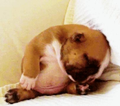 明明没干重活，为什么会感觉比干了好几天重活还累？