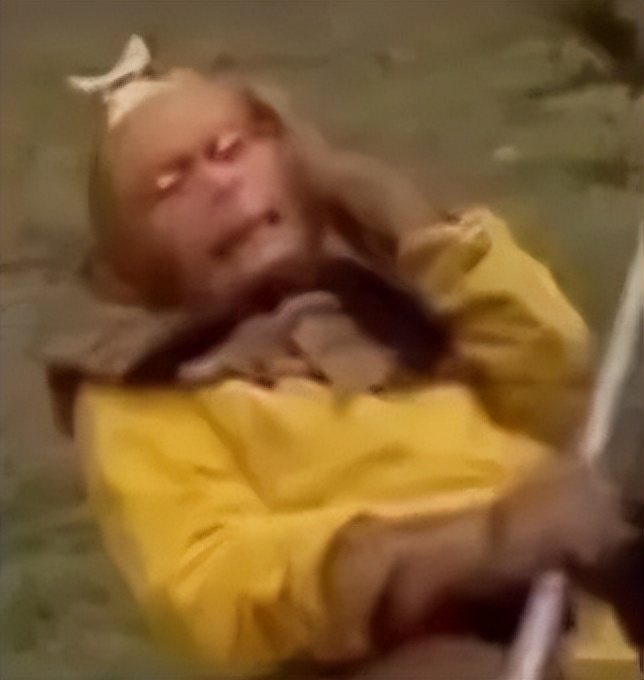 谷歌翻译最近怎么不能用了,谷歌翻译被下架了吗