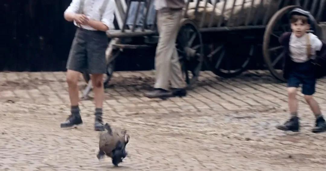 彪马和阿迪达斯尺码一样吗,阿迪达斯鞋和彪马鞋哪个好