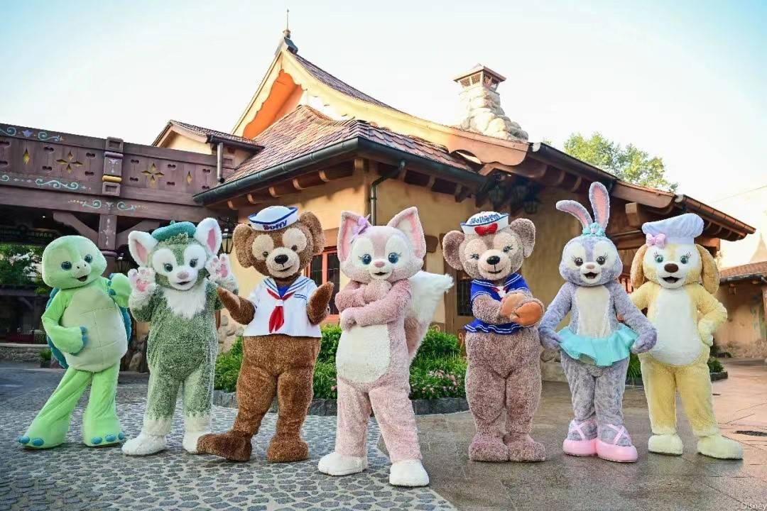 围困迪士尼：买500个暖贴凌晨排队站不住借轮椅憋到尿血被网暴