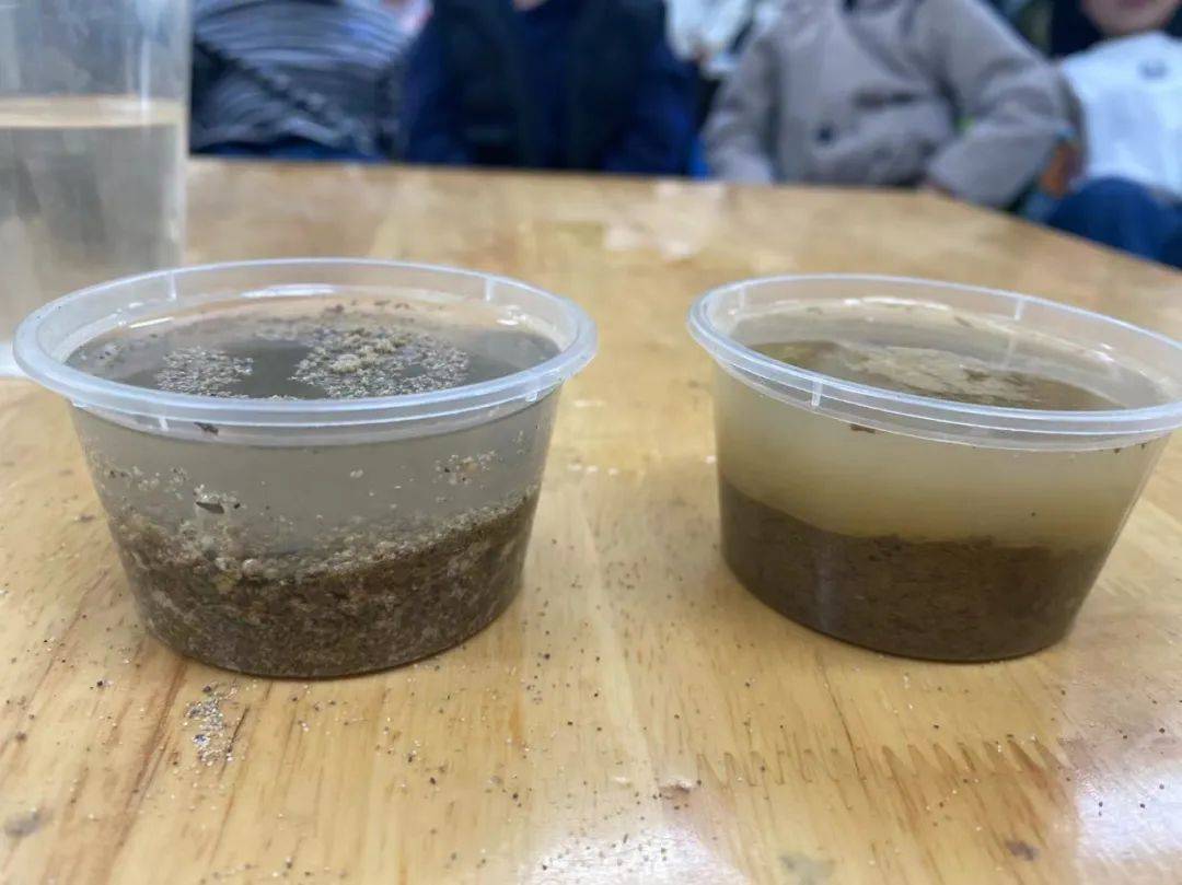 科学探索幼儿园小实验,建德诺亚舟幼儿园