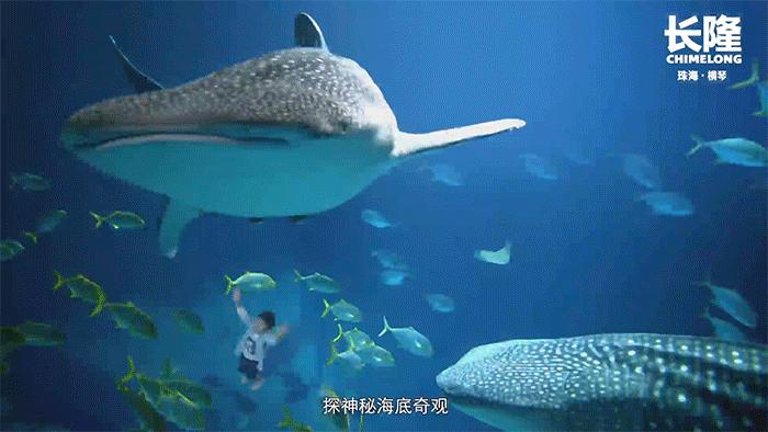 珠海长隆海洋王国3人1日游,珠海长隆海洋王国3日2夜