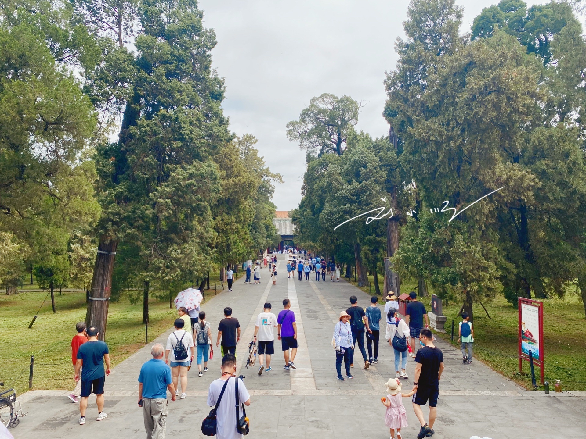 山东曲阜孔庙简介,曲阜孔庙历史背景和现状