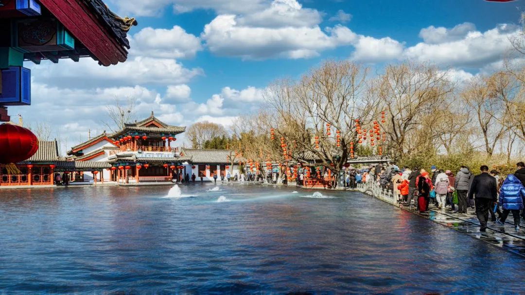 为什么叫山东大葱,为什么大葱用葱白不用葱绿