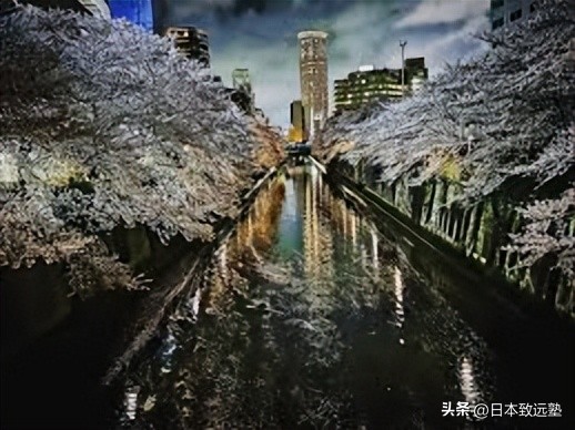 东京赏樱不完全攻略,2023年东京赏樱攻略